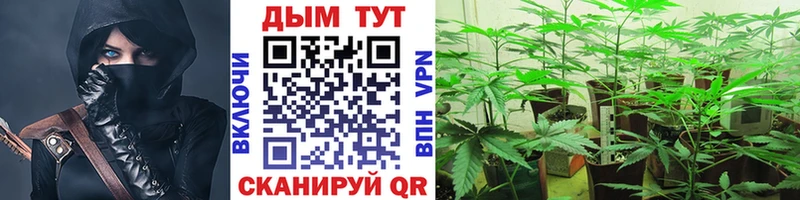 купить наркотики сайты  ОМГ ОМГ онион  Конопля LSD WEED  Куса 